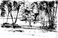 Today's drawings with Urban Sketchers São Paulo, at Horto Florestal park