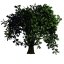 Treemaking
